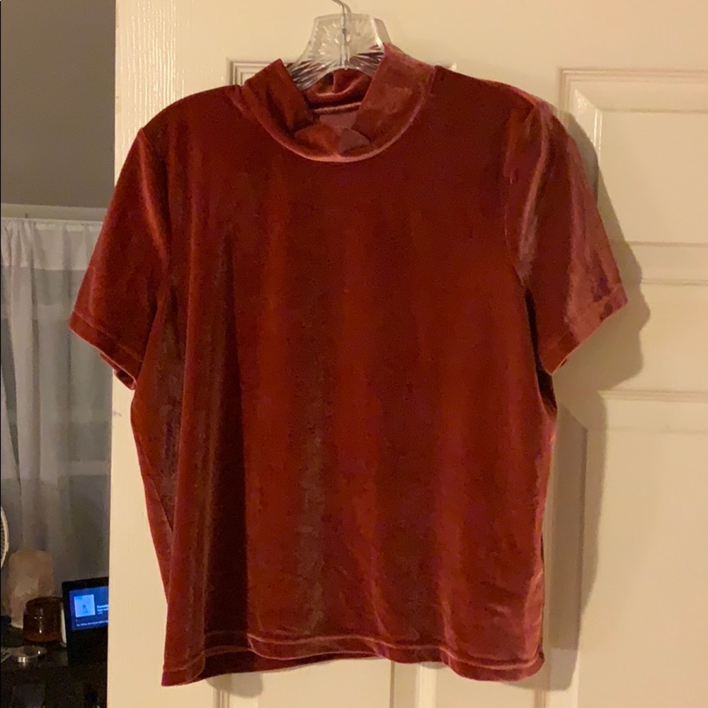 Madewell velvet mock neck top